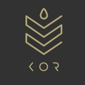 14141811_338977153158325_2592467742883633254_n